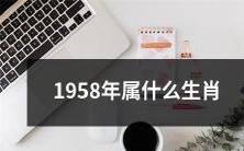 哪些属相对应于1958年的出生日期?