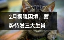 在2月中期退出困境后,三大生肖开始蓄势待发,为未来的成功而努力