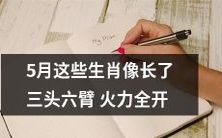 五月份这些十二生肖的人,仿佛长了三头六臂,火力全开无人可挡!