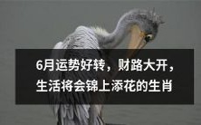 6月运势大好,财运亨通,生活品质因此更加优越的十二生肖