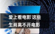 这些生肖对电影如痴如醉,热情不减!