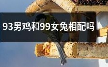 “能否将93年出生的雄性鸡与99年出生的雌性兔成功进行交配?” - 一个关于生物学基因组匹配和交配成功率的探讨