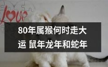 在过去的80个年头中,猴年的天赋何时将在鼠年、龙年和蛇年里迎来大运?