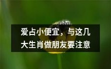 警惕小心眼、好占便宜!与以下五大生肖交友需慎重:详解内在特征与为何易偏好占便宜的原因