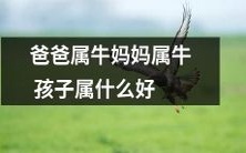 父母均为属牛,那么孩子应该属于什么属相呢?