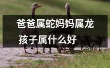 根据生肖计算:有一位父亲属蛇、一位母亲属龙,那么他们的孩子应该属于哪个生肖呢?