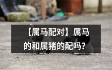 【十二生肖属马的人和属猪的人配对】是否能够取得如意美满的感情关系?