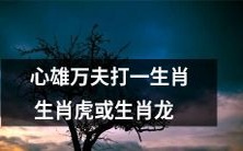 心雄万夫合力打败挑战者:生肖虎或生肖龙