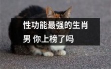 你的性功能是否与十二生肖中被评为最强的男性相提并论?