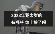 你是否被2023年犯太岁所影响?查看名单,了解吉凶并备对策