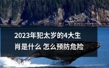 如何预防2023年犯太岁的四大生肖带来的不利影响及危险?