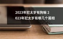 2023年属于农历犯太岁,哪些十二生肖属相将受影响?是否包括狗属相?