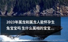 在2023年,与其生肖相同的属龙人是否可以怀孕并诞下兔宝宝?另外,哪种属相的宝宝在这一年更显得幸运吉祥呢?