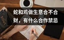 蛇与鸡的商业合作——探讨其财务效益和潜在合作风险