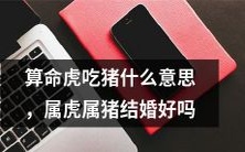 深度解读算命虎吃猪的预兆含义,探究属虎属猪是否适宜步入婚姻殿堂