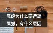 为何属虎应该避开属猴,深究其根源及原因是什么?