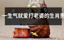 哪些生肖男在情绪激动时容易动手打老婆?