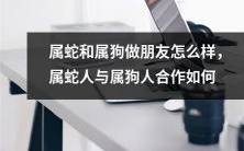 如何在十二生肖中属蛇和属狗之间建立友谊?探讨属蛇人与属狗人合作的策略与技巧