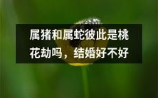 在十二生肖中属猪和属蛇是否互为桃花劫,这是否意味着它们不应该结婚?