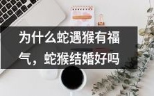 为什么蛇和猴神仙配是上天给予的福利?结婚后的蛇猴组合能否带来幸福?