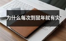 难?寻找鼠年灾难的根源和背景