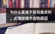 探究属猪与属虎不能匹配的原因:婚姻中的虎猪组合不合适