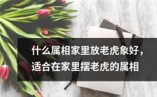 哪些属相适合在家放置老虎装饰品,如象或雕像?