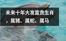 十年内属猪、属蛇、属马生肖将成为潜力巨大的财富机会!
