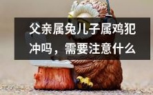父亲属兔,儿子属鸡,星座犯冲,如何避免负面影响?