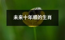 探索未来十年中生肖运势顺遂的可能性与那些幸运符号的关联