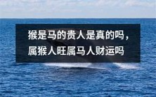 是否存在“猴是马的贵人”这一说法?属猴者真的会旺,而属马者会财运亨通吗?