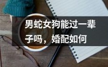 男蛇女狗:一对不太看好但可能成功的婚配?如何在性格差异和传统观念间平衡呢?