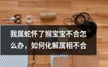 怀有猴宝宝的我属蛇,属相不合带来的烦恼及解决方法