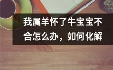 我作为属羊者不慎怀上牛宝宝,该如何面对这种不协调的情况并寻找化解之道?