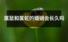 属鼠和属蛇的配偶关系是否具备长久稳定性?