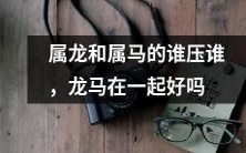 属于龙和属于马的星座,请问谁会处于主导地位?如果一起相处,龙和马的兼容度如何?