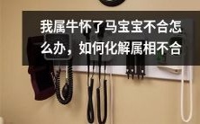 属相不合引发的烦恼:我作为属牛的人怀了属马的宝宝,该如何处理此困境及缓解属相不合的影响?