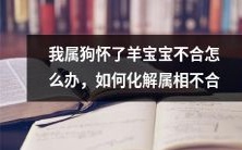 我是狗年生肖,现怀有羊宝宝,如何解决生肖不合的困境?