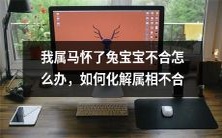 我因属马怀了兔宝宝,面临属相不合情况,该如何化解?