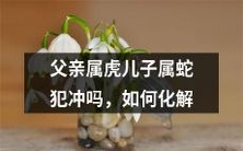 同居宜,异居和谐:如果父亲属虎儿子属蛇犯冲,你应该怎样化解?