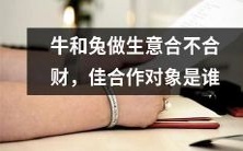 牛和兔在商业合作中的财务效益如何?哪些合作伙伴是最佳选择?
