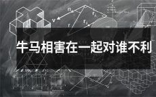 当牛和马之间发生冲突时,谁将受到不利影响?