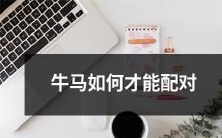 牛马之间的完美匹配:探讨牛和马如何选择适合自己的伴侣