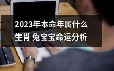 2023年,当属于兔宝宝本命年,那么这位兔宝宝的命运将会如何呢?让我们来一探究竟!