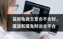 鼠兔合作能否实现财富共赢?探究属鼠属兔的财运是否匹配