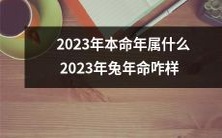 2023年,根据中国农历,哪个生肖属本命年?2023年兔年的命运如何?