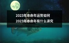 探究2023年本命年的运程及文化传统:2023年本命年的吉凶如何?2023年本命年有哪些文化讲究?
