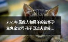 属虎和属羊的人在2023年是否具备怀孕和生育兔子宝宝的能力,而这个过程是否会促进夫妻间的感情?