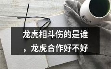 龙虎之争:斗争造成双方伤害,合作则能取得共赢局面