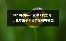2023年兔年不宜生肖:兔年生育不佳的属相有哪些?